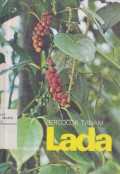 Bercocok Tanam Lada