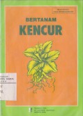Bertanam Kencur