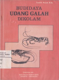 Image of Budidaya Udang di Kolam