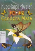Kupu-Kupu Awetan Untuk Cinderamata