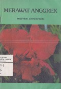 Merawat Anggrek