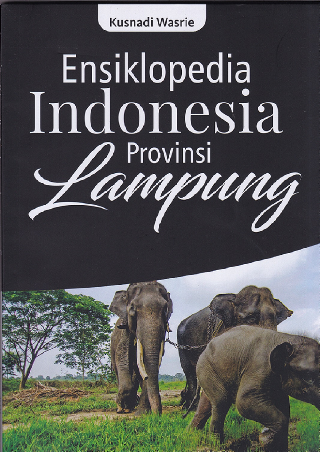 Ensiklopedia Indonesia provinsi Lampung