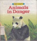 Animal in Danger
