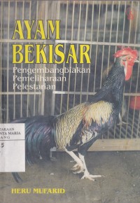 Image of Ayam Bekisar, Pengembangbiakan - Pemeliharaan - Pelestarian