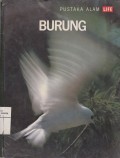 Burung
