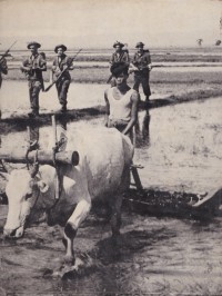 Image of Cina-Birma-India