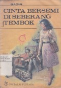 Cinta Bersemi di Seberang twmbok