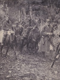 Image of Partisan dan Gerilyawan