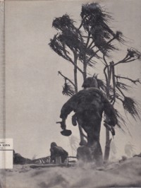 Image of Pertempuran di Pulau