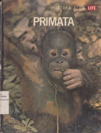 Image of Primata