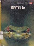 Reptilia